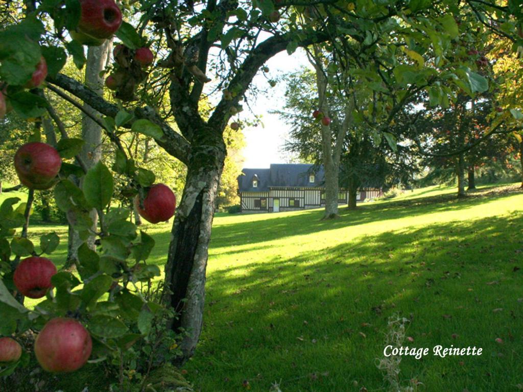 Les Fermes De Florence Bien Etre Et Nature Les Champeaux Oda fotoğraf